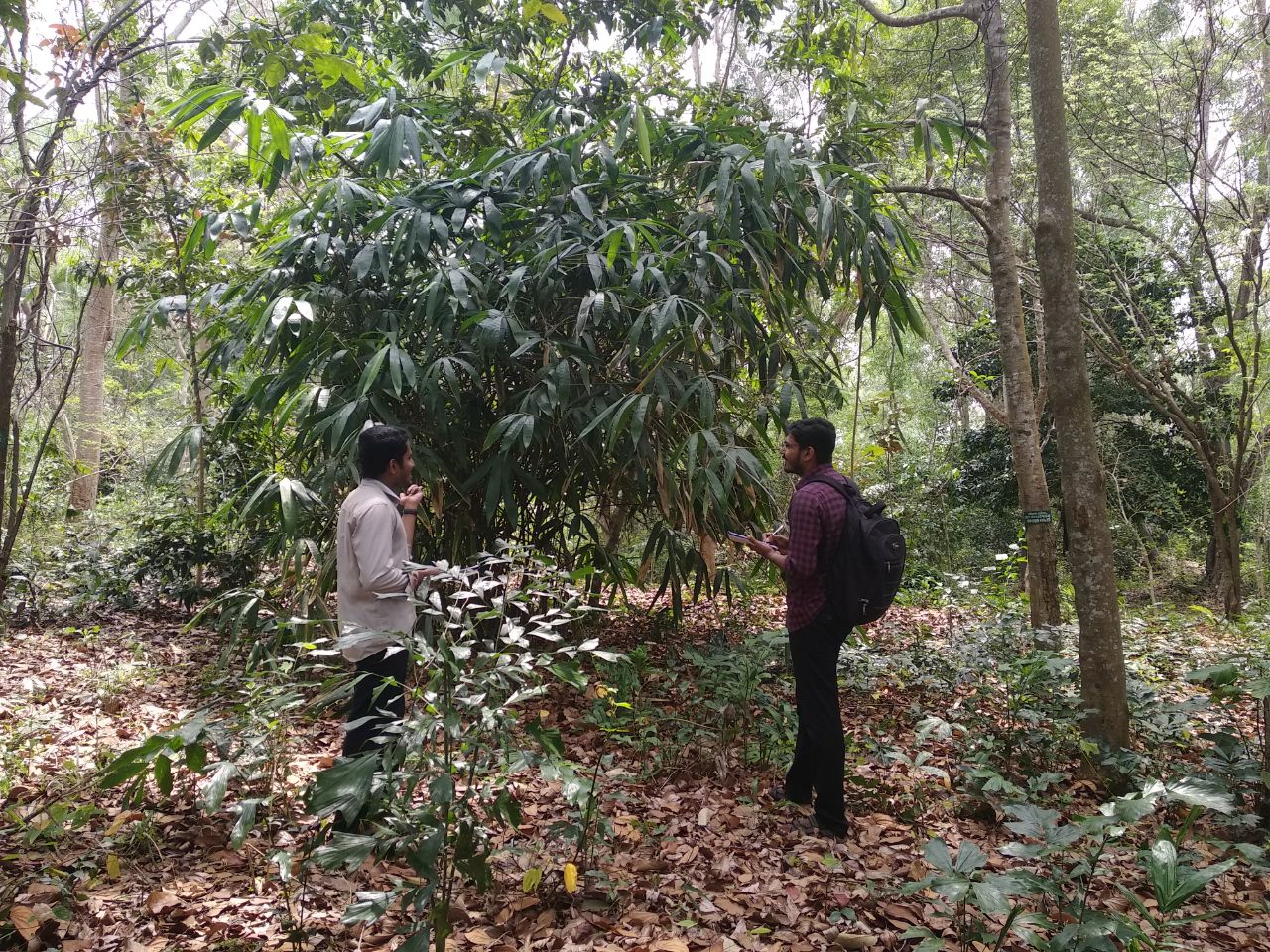 Sustainable Development Initiatives in Tribal Hamlets  (2024- 25)